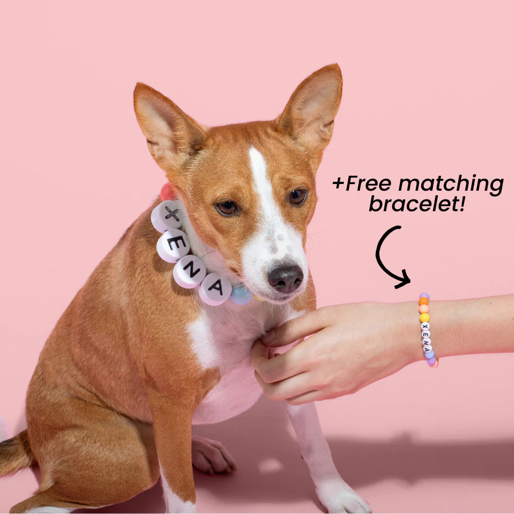 BFF Pet Collar + free matching bracelet