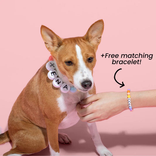 BFF Pet Collar + free matching bracelet